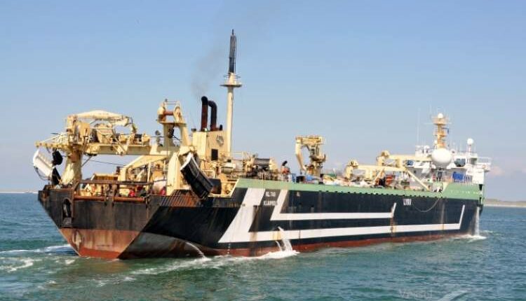 الإمارات تنهب الثروات البحرية اليمنية