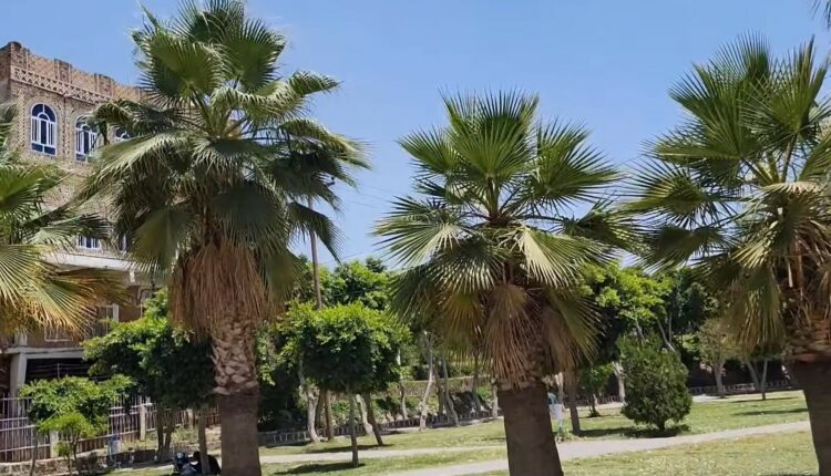 لاستقبال المواطنين .. صنعاء تستعد في عيد الأضحى بـ 70 حديقة