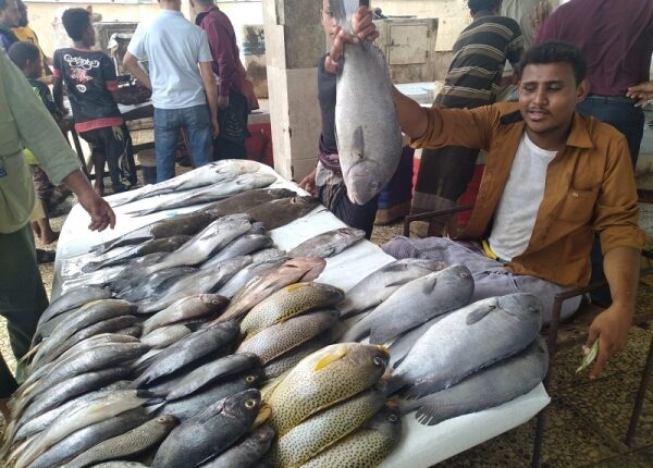 ارتفاع جنوني في أسعار الأسماك في عدن