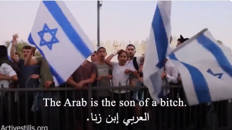 فيديو مخجل..مظاهرات للمستوطنين اليهود ردا على جامعة الدول العربية