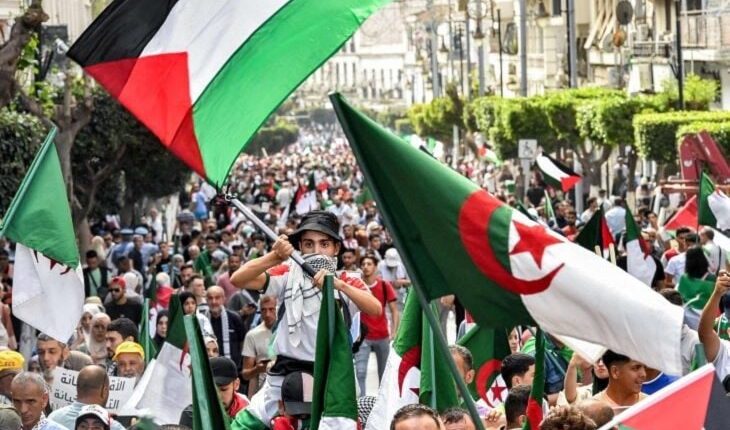 تظاهرات في عدة دول أفريقية تضامنًا مع فلسطين ولبنان