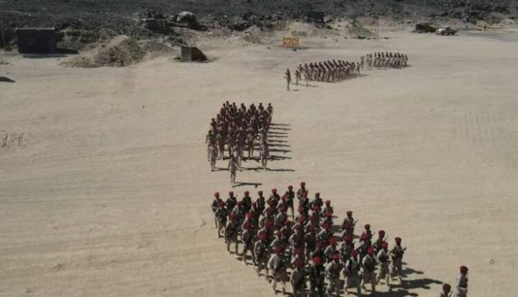 جيش بلا علم ولا هوية..فضيحة تطال العليمي و”درع الوطن”