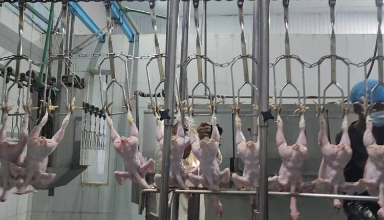 حكومة صنعاء.. خطوة جديدة تقرّب اليمنيين لبلوغ مرحلة اكتفاء ذاتي اقتصادي