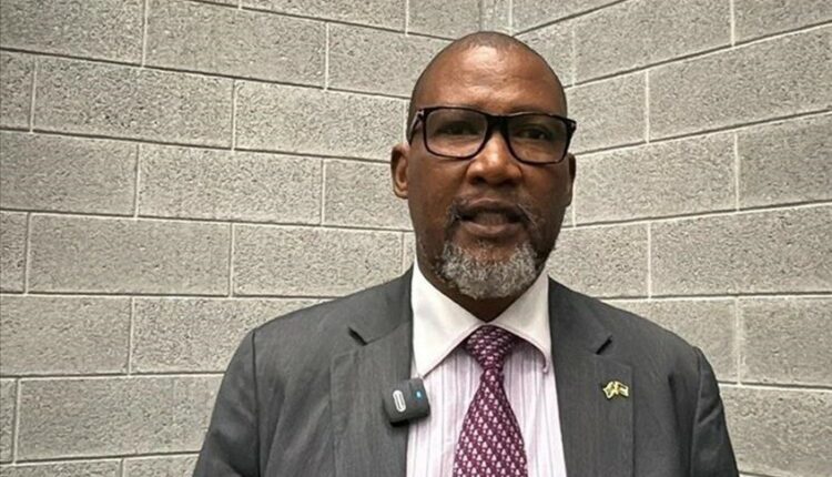 حفيد نيلسون مانديلا: فلسطين امتداد لنضال جنوب إفريقيا