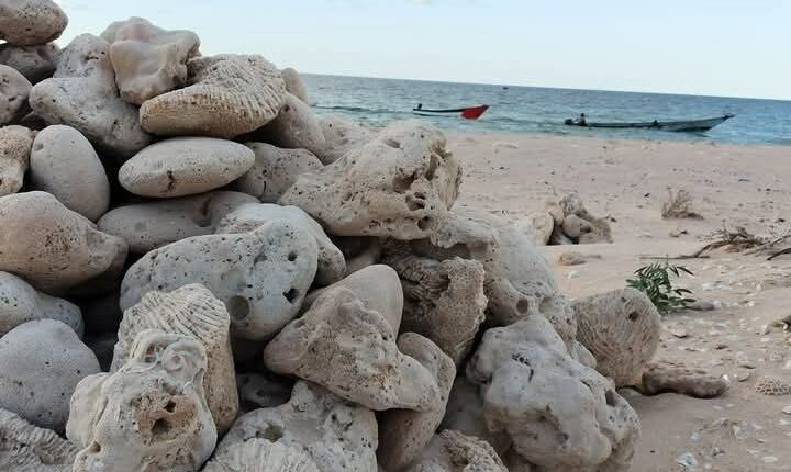 باحث يكشف نهب الإمارات لأحجار المرجان في جزيرة سقطرى