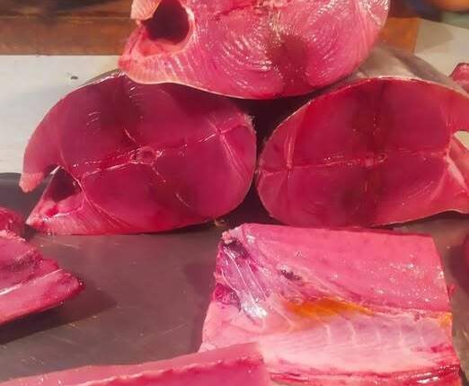 أزمة مفاجئة ترفع سعر سمك الثمد إلى مستوى قياسي في عدن