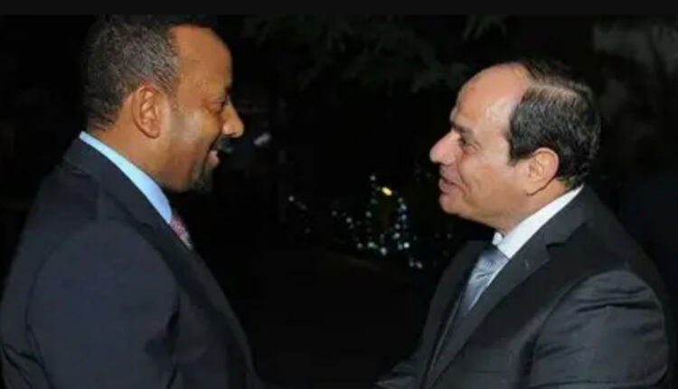 تصريح فاضح من وزير الخارجية المصري حول سد النهضة