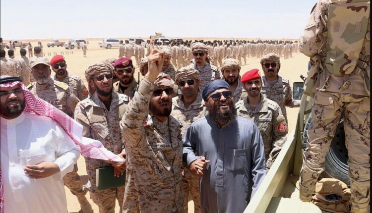 فتاوى متضاربة تكشف انقسام الفصائل السلفية مع استعداد السعودية للتصعيد جنوب اليمن