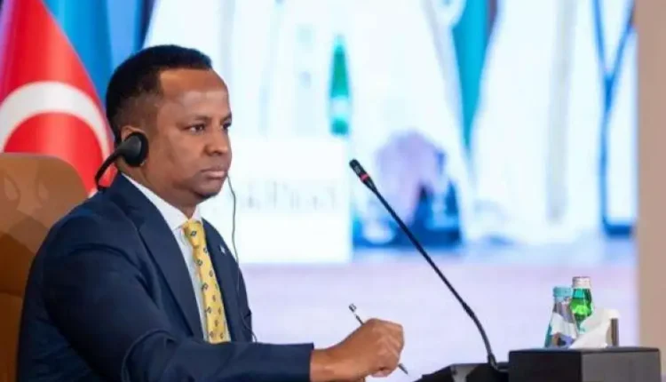  وزير خارجية الصومال يؤكد رفض تشريد الفلسطينيين إلى أراضي بلاده