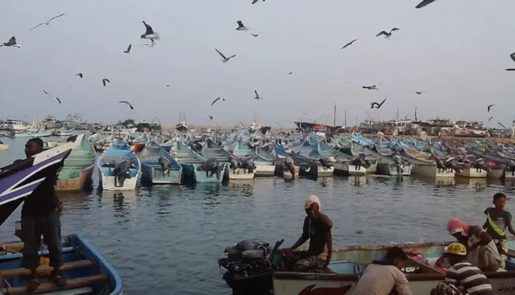 فساد مالي بمليار و200 مليون ريال في أحد موانئ حضرموت من شحنة واحدة فقط