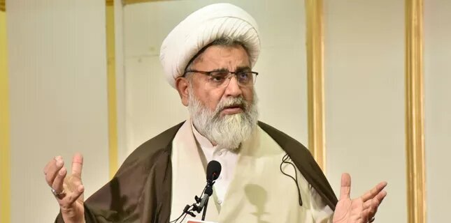 زعيم المعارضة في مجلس الشيوخ الباكستاني: “أنصار الله” قوة وازنة لها جذور عميقة في تاريخ اليمن